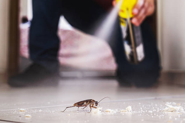 Professional Pest Control in Somonauk, IL