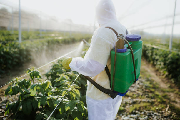 Insect Control in Somonauk, IL